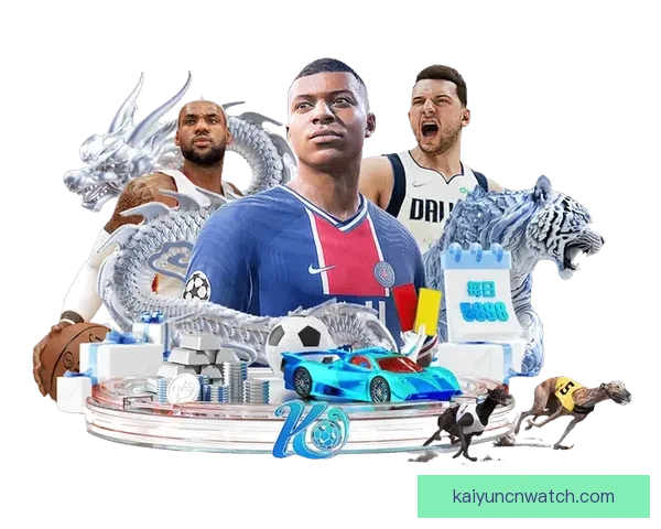 开云体育入口全面升级体验打造安全便捷运动娱乐平台