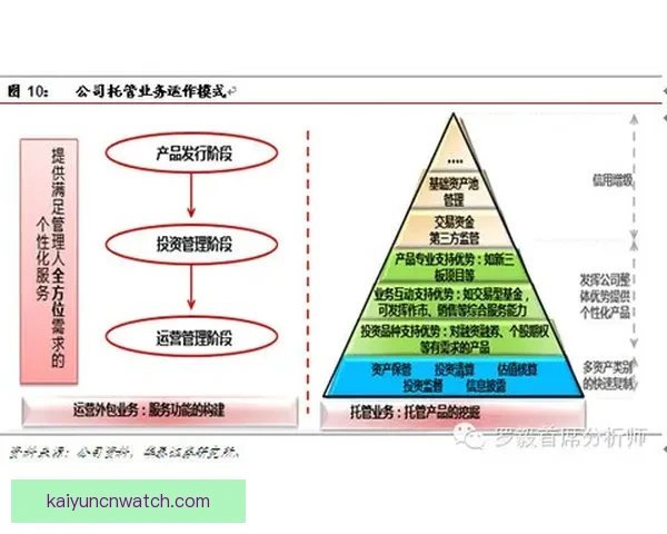 精准分析与实战经验助力体育竞猜稳稳赚，专家推荐引领投资方向